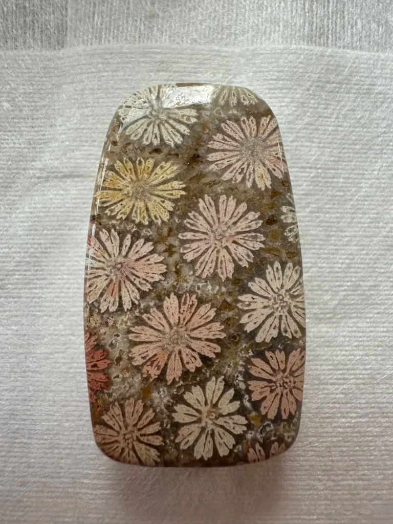 Close-up of Coral Jade featuring distinct chrysanthemum-like floral patterns in ancient fossils.