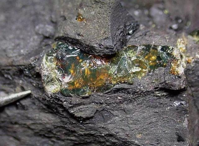 Yellow amber veins glowing through dark coal layers, showing the natural state of Fushun specimens.