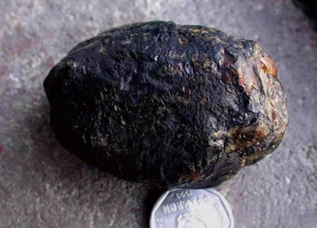A solid, dark gray coal gangue rock from Liaoning, showing its dense and hard-rock structure.