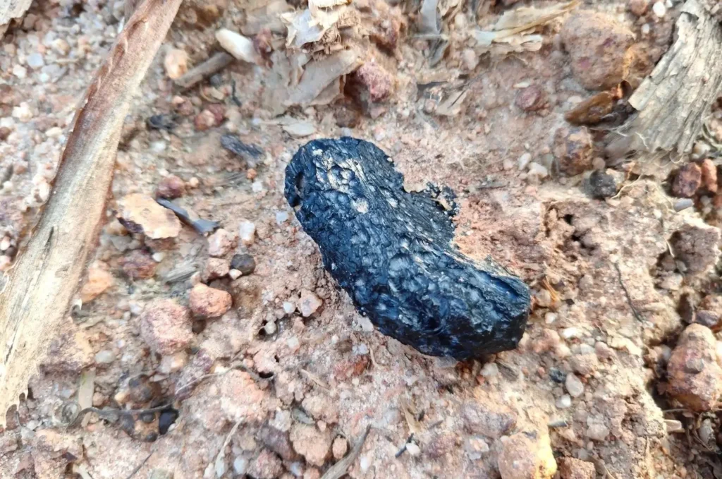 A deep black Hainan tektite partially buried in sandy soil and gravel, showing its raw surface.