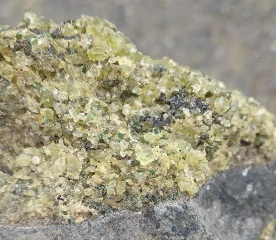 Mantle peridotite host rock from Hannuoba, Hebei, alongside a faceted yellow-green peridot.
