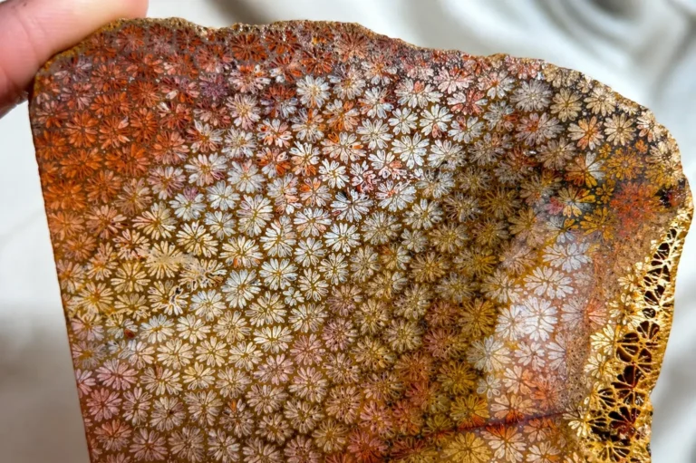 Natural unheated Coral Jade slab featuring colorful 3D maple-leaf-like fossil patterns from Shaanxi.