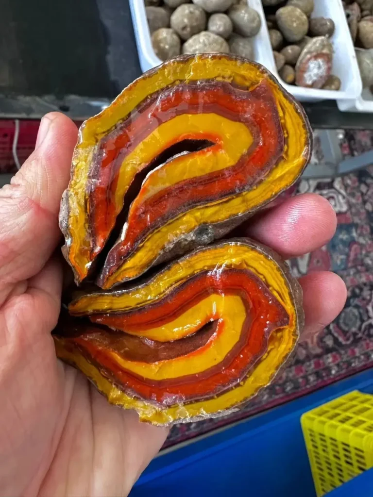 A sliced Zhan-Guo Red agate raw stone, showing vibrant red and yellow banded ribbons.