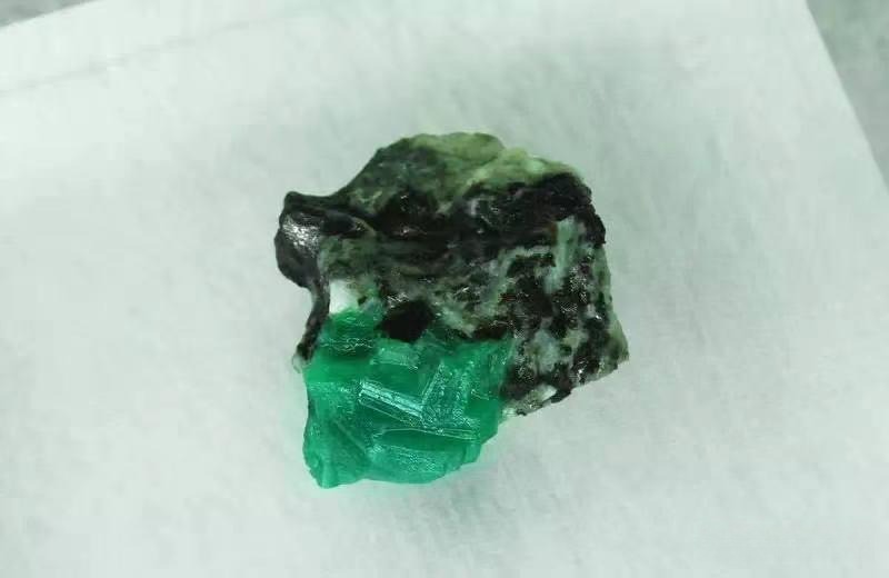 A vibrant green emerald crystal embedded in a dark mineral matrix from Malipo, Yunnan.