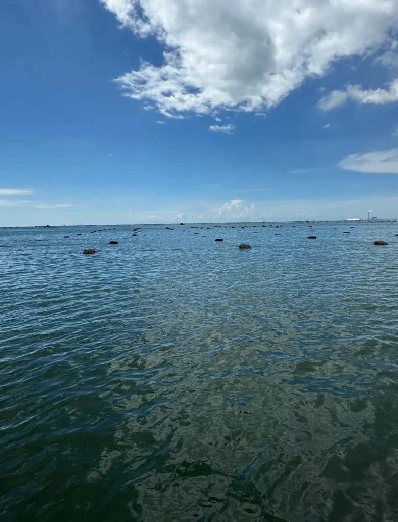 Black buoys marking a pearl oyster cultivation area in the calm blue waters of Guangxi Hepu.