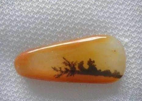 Polished Anhui Huoshan jade with dark dendritic inclusions resembling aquatic plants on a yellow background.