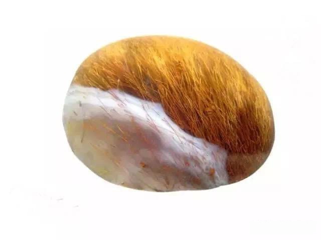 Natural Yuhua agate with golden-brown fibrous patterns resembling a dense reed marsh.