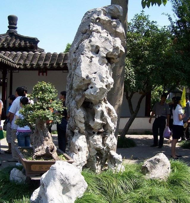 The towering Immortal Peak Taihu stone in Nanjing Zhan Garden, surrounded by greenery and a bonsai.