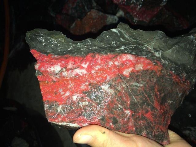 A hand holding raw Guizhou chicken-blood stone rough with a vivid red band in dark matrix.