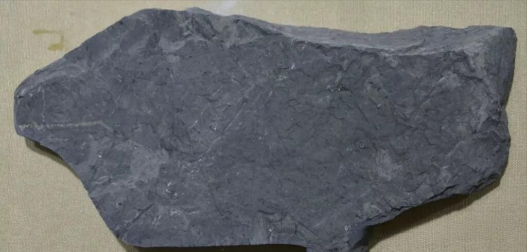 A rough, unpolished black jet stone specimen from Shanxi showing natural matte texture.