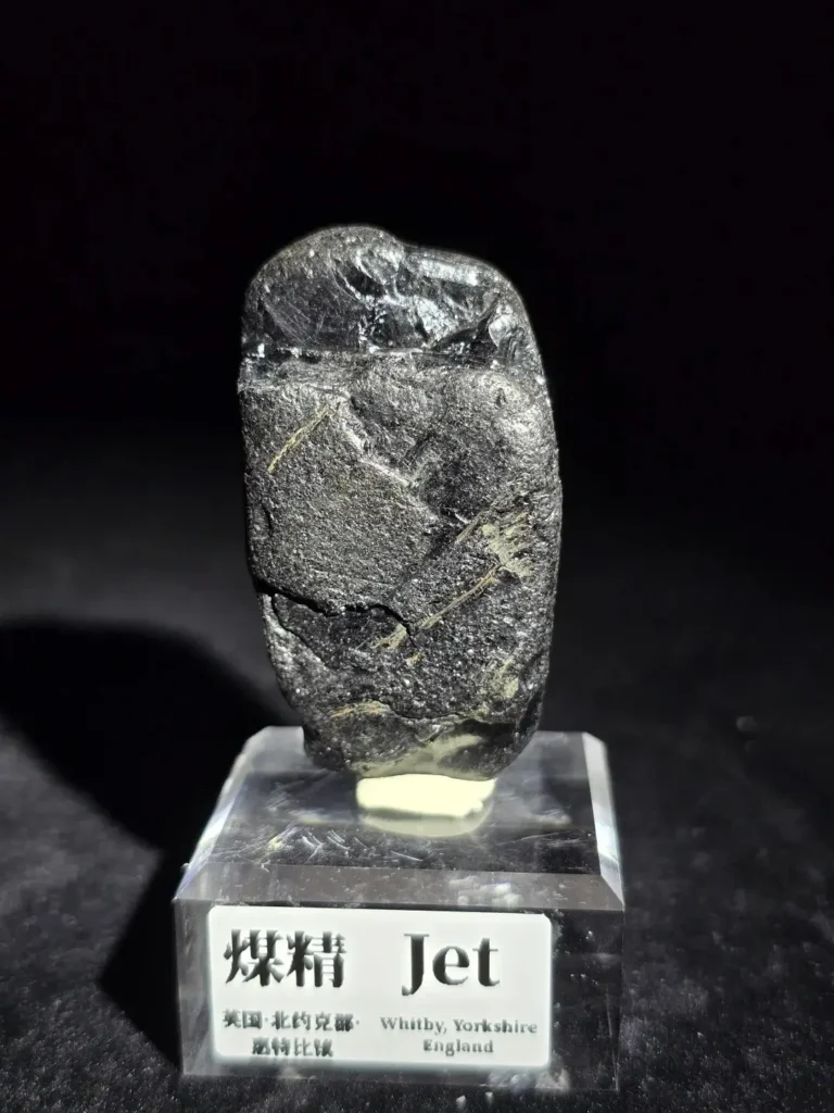 A raw, dark gray-black specimen of Whitby Jet displayed on a transparent stand with a labeling tag.