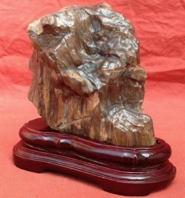 A polished Xinjiang petrified wood mineral specimen displayed on a custom dark wooden base.