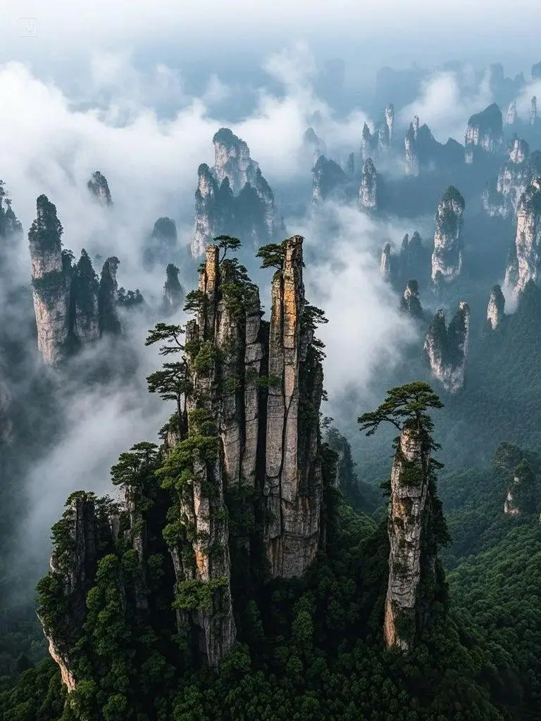 Towering quartz sandstone pillars of Zhangjiajie, Hunan, rising through dense white clouds and mist.