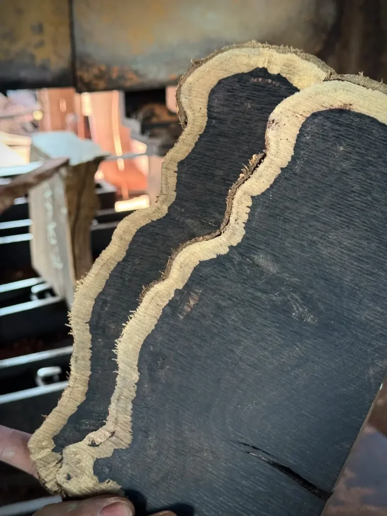 A raw cross-section slice of an ebony wood log with dark heartwood and a wavy light sapwood border.