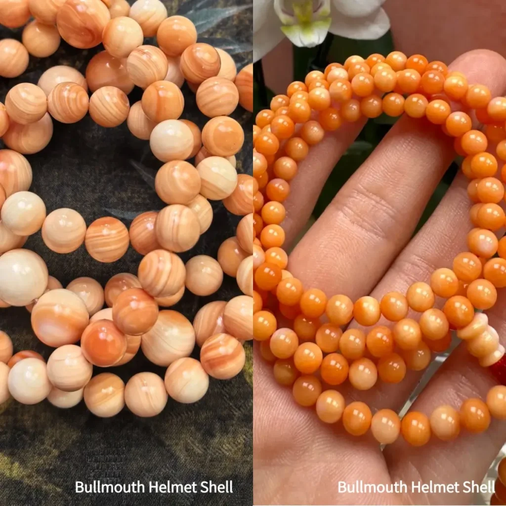 Comparison of Bullmouth Helmet Shell and Blood Red Tridacna bead bracelets showing color and texture differences.