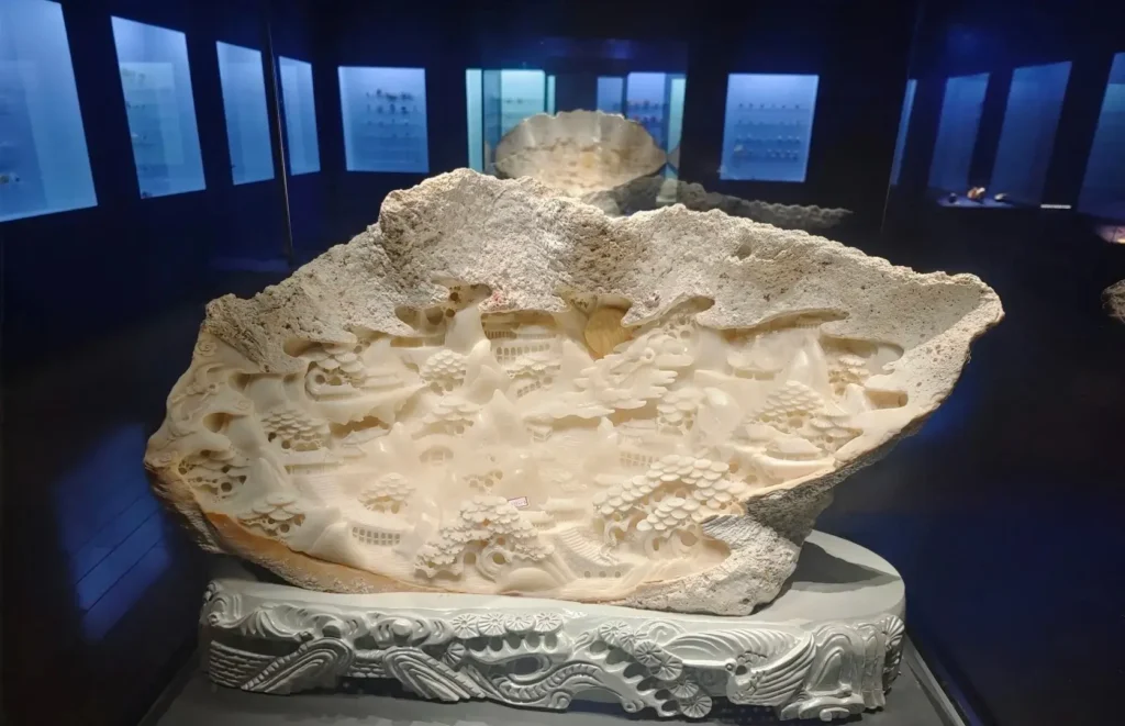 A large carved Tridacna shell sculpture with detailed patterns on its polished white surface.