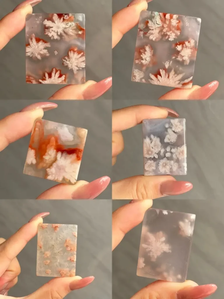Six rectangular cherry blossom agate slices showing various natural flower-like mineral inclusions.
