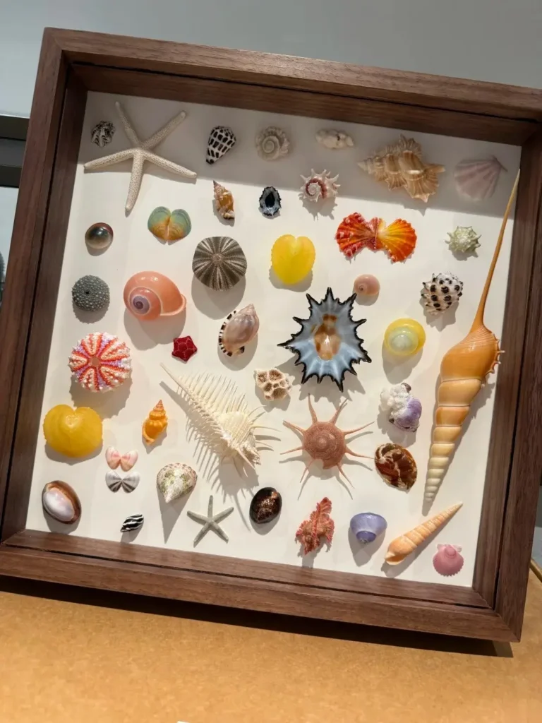 Collection of natural seashells showing various shapes, colors, and surface textures.