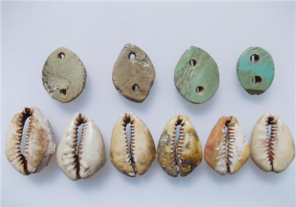 Ancient Chinese cowrie shell currency used for early trade and exchange during the Shang and Zhou dynasties.