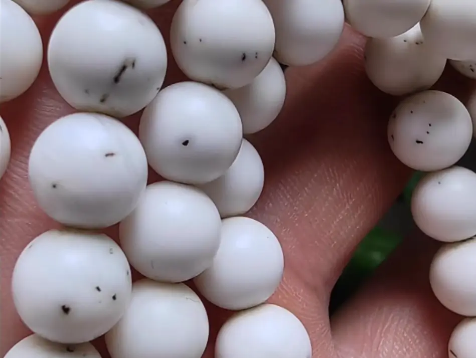 White beads showing natural pits, surface marks, and growth characteristics.