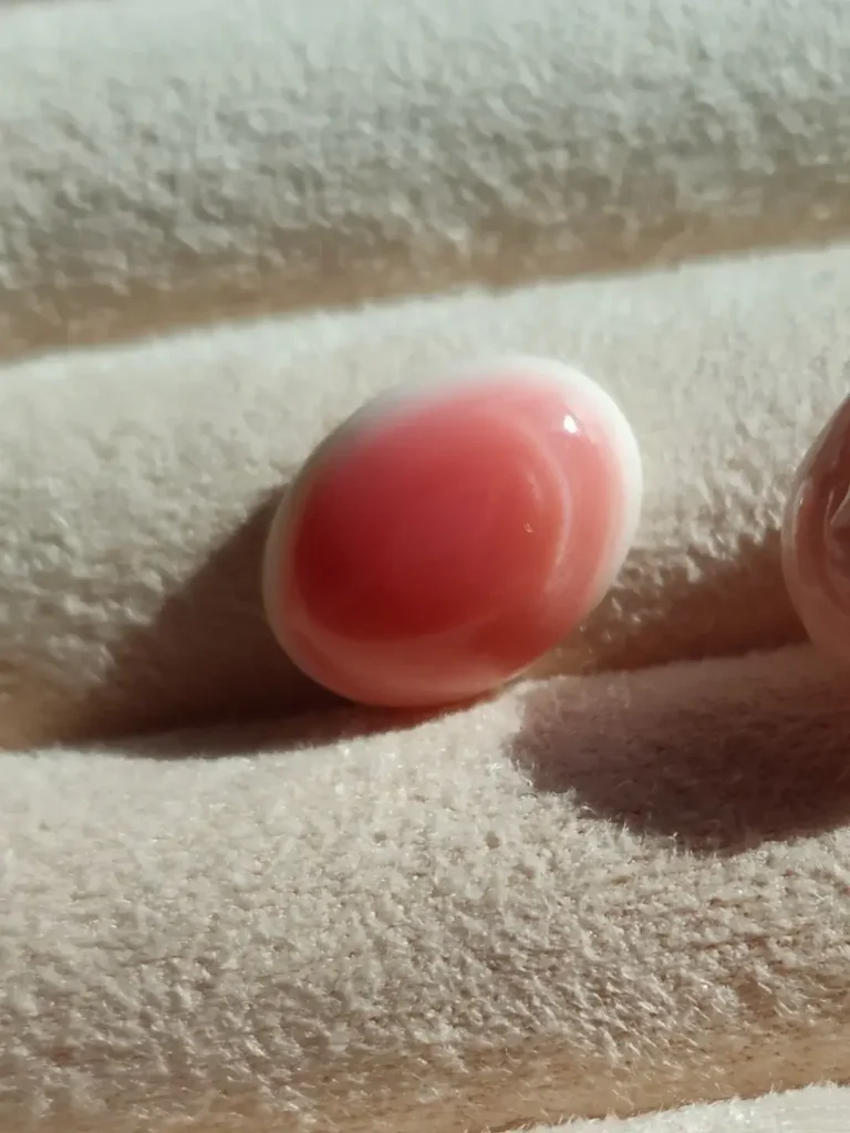 Oval Queen Conch cabochon showing a smooth pink surface with natural white shell layers.