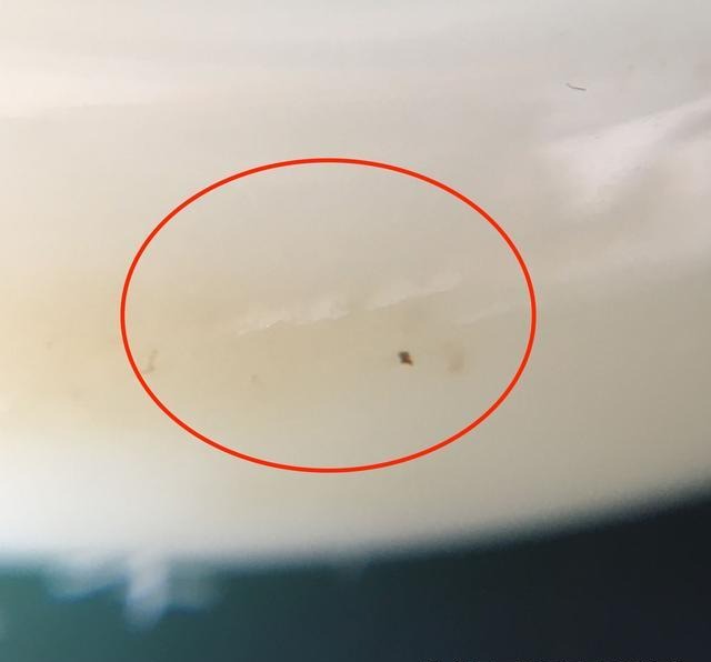 White Hetian jade bangle showing a subtle internal fine fissure (Liu) marked in red.