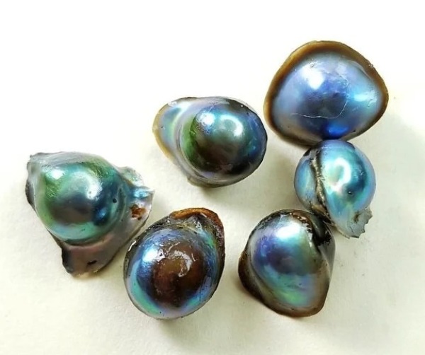 Natural abalone pearls with blue-green iridescence and unique organic freeform shapes.