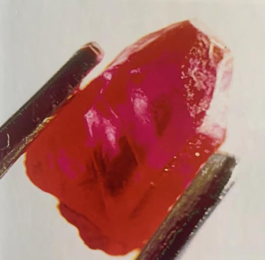 A rough Mong Hsu ruby crystal with dark core Held by tweezers