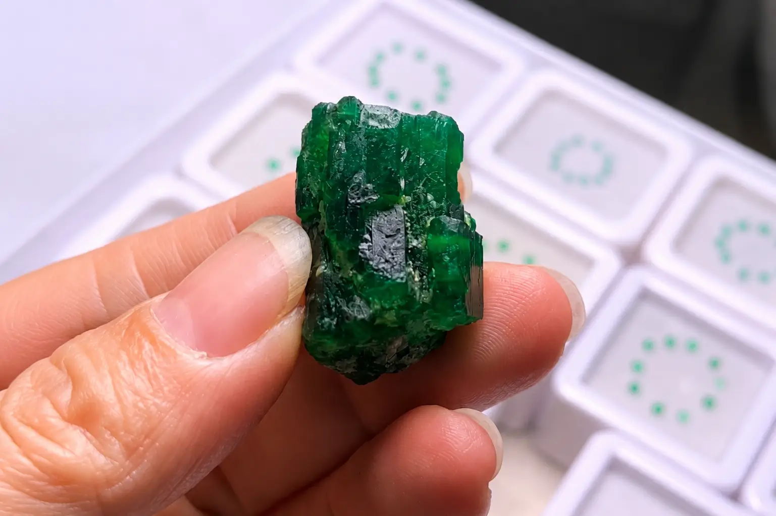 Person holding a green Swat Emerald rough crystal from Pakistan with display boxes in the background.