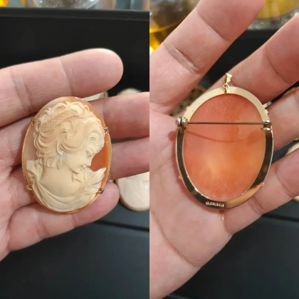 Front and back views of a resin cameo brooch with a female profile and smooth back surface.