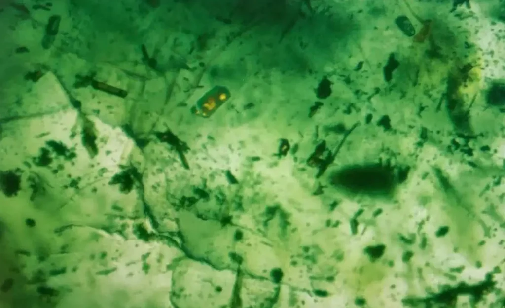 Yellow-orange short prismatic rutile crystal inclusion inside green Swat Emerald under magnification.