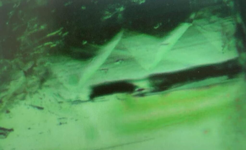 Z-shaped growth structure visible inside green Swat Emerald under magnification.