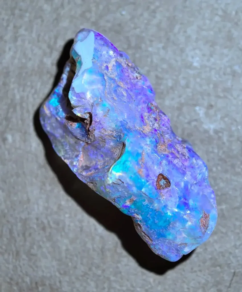 Blue opal-rich fossil with visible natural patterns and texture.