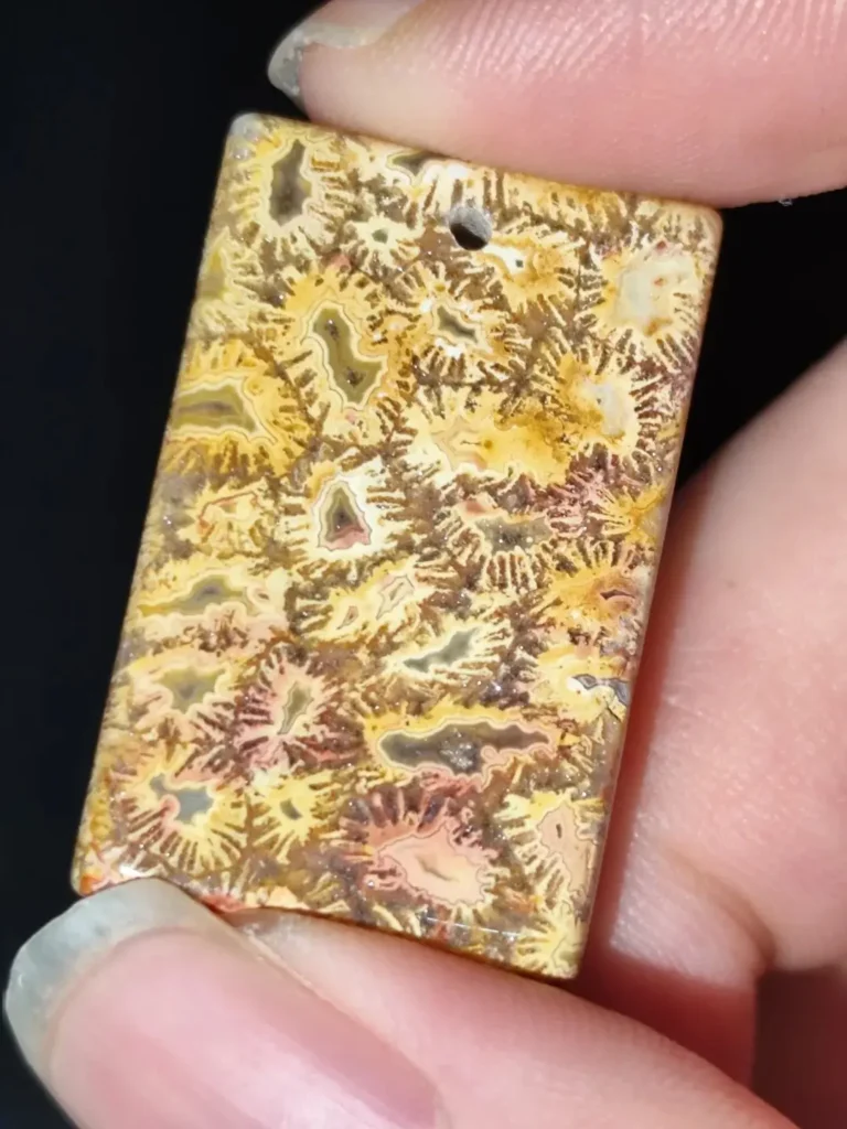 Square Coral Jade pendant with biomorphic patterns resembling small crabs