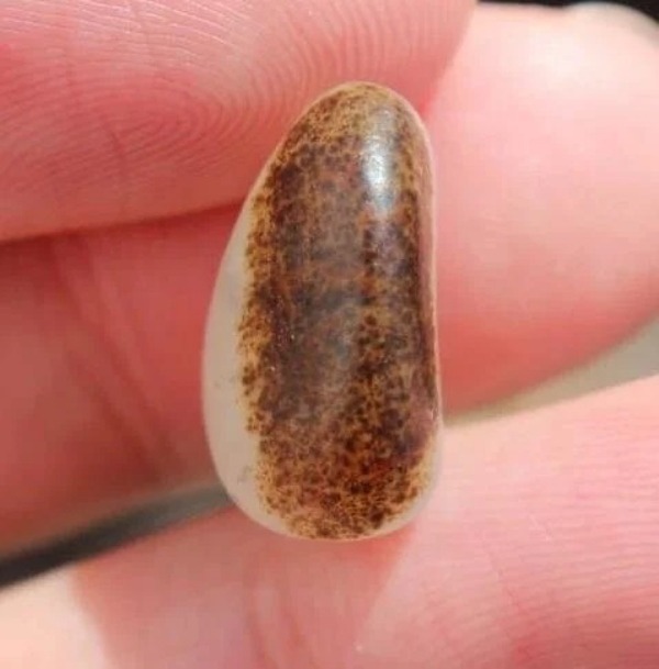 Hetian white jade seed jade showing a nail-like color pattern extending into the surface.