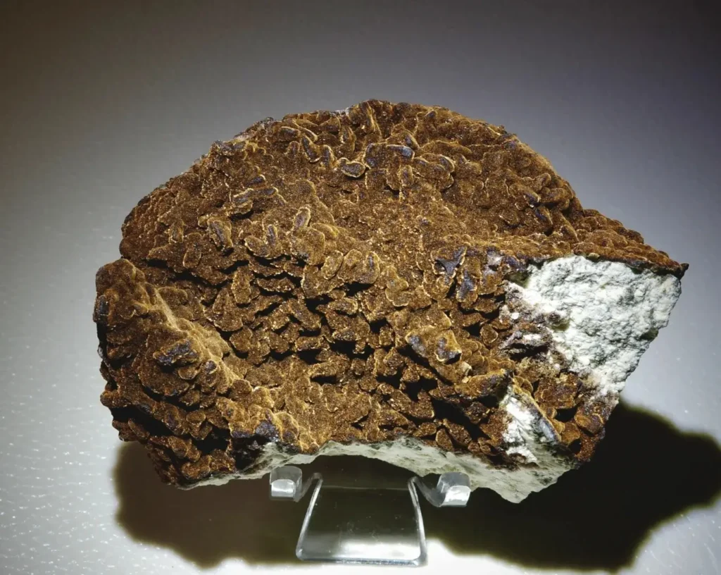Dark brown goethite specimen with a textured, bladed surface