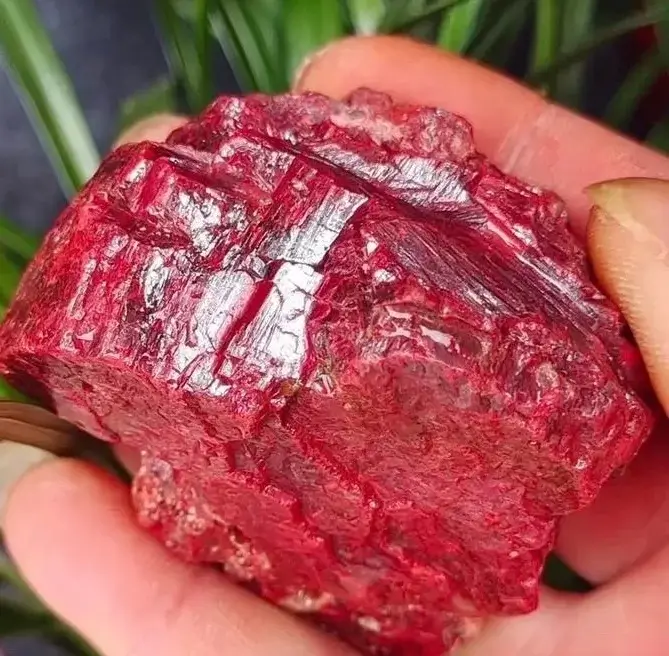 A hand holding a raw red cinnabar natural mineral specimen.